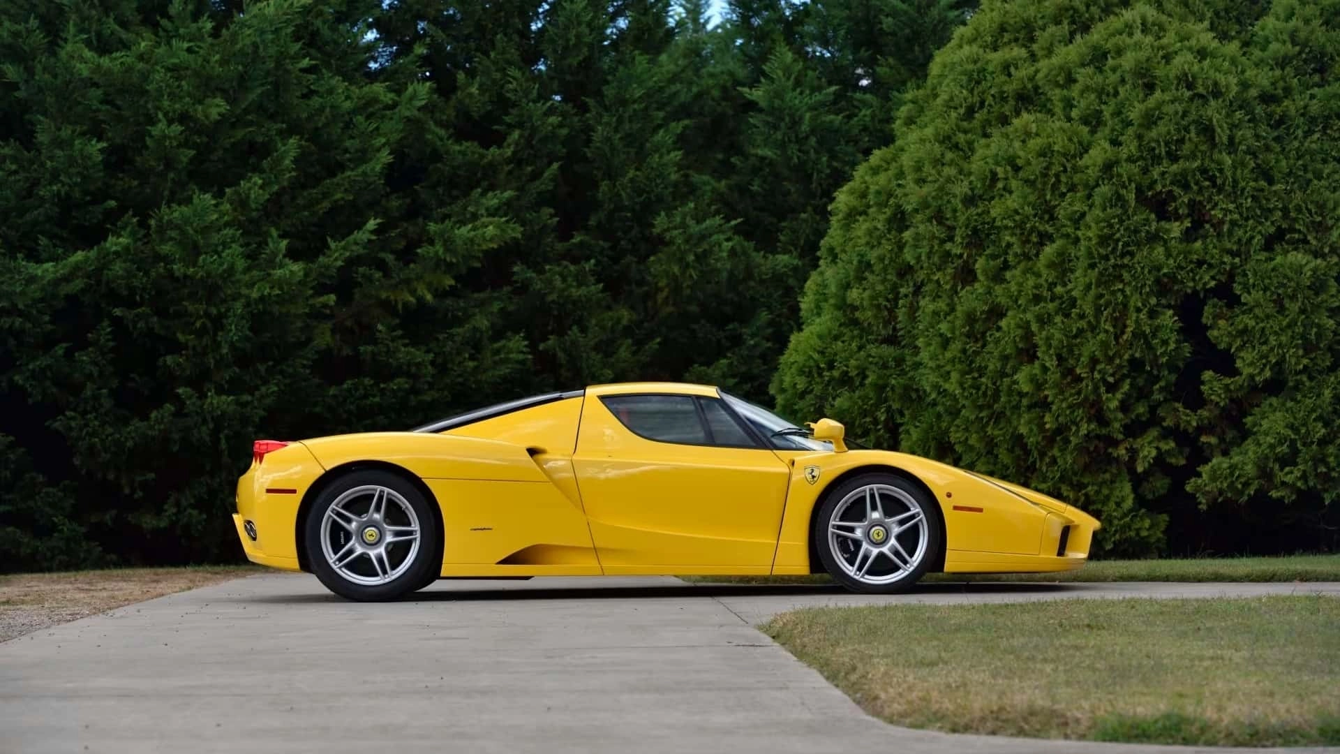 Ferrari enzo (1)